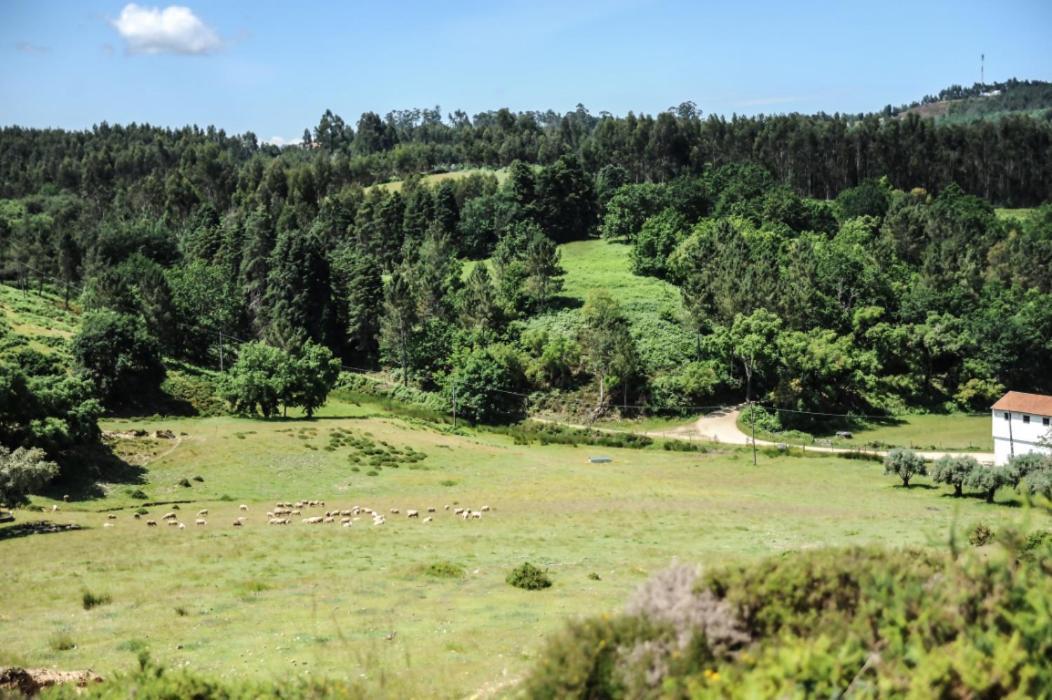 Vumba Agroturismo アルガニル エクステリア 写真